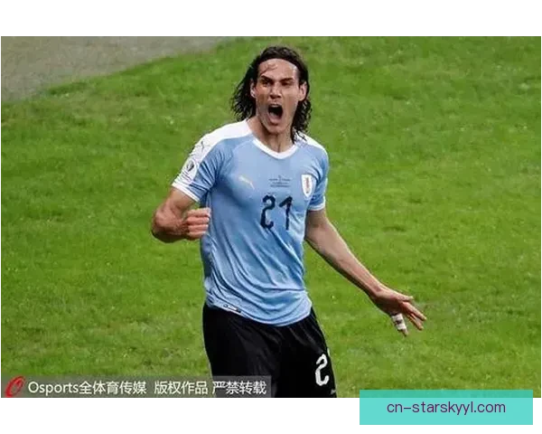 天使难择最欢冠二一美洲杯情深